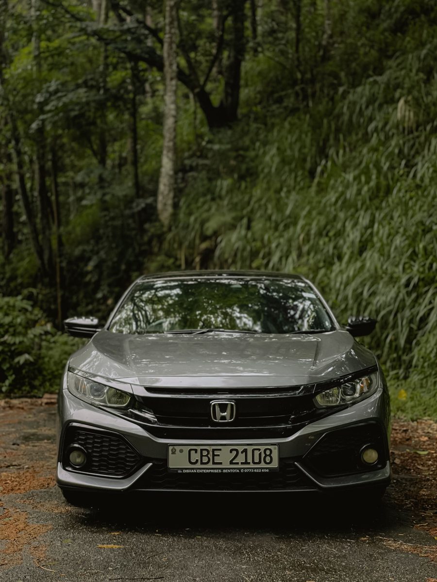 Hatchback parked among trees